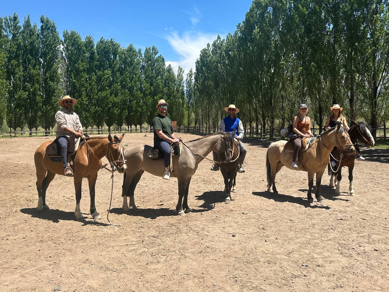 Professional engagement and leadership